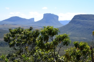 MORRÃO NA SUBIDA DA FUMAÇA